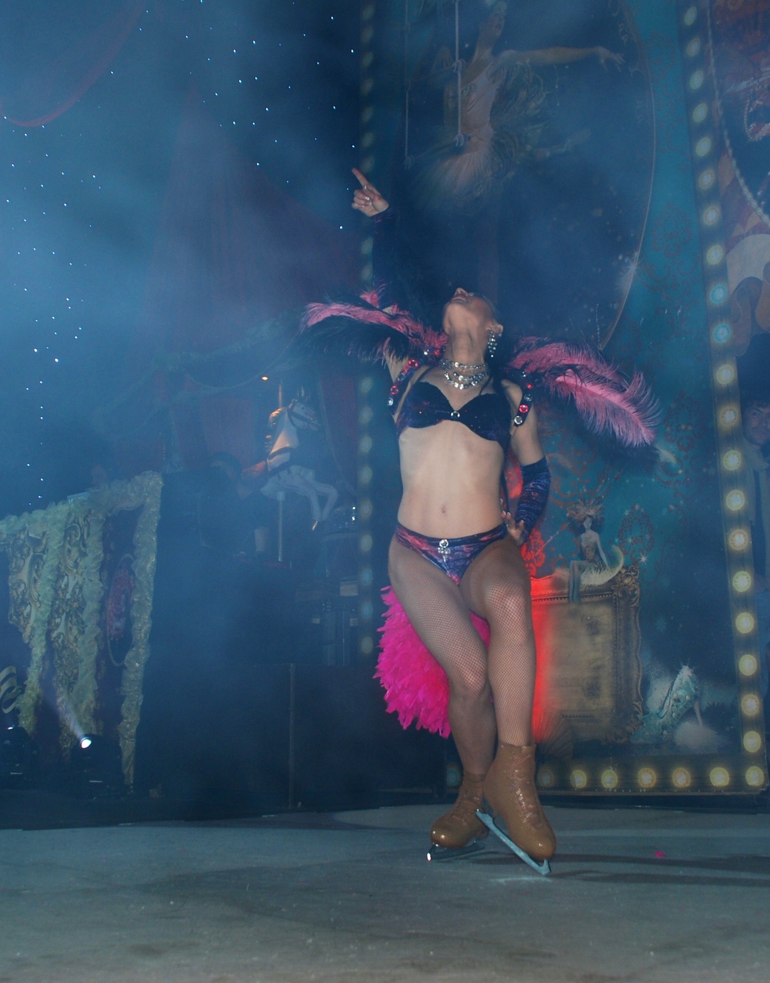 Ice Skating Performance performance